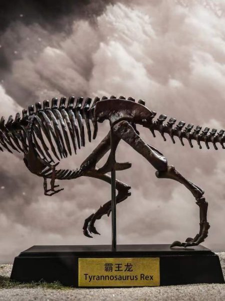Hzs Studio Dinosaur Fossil Tyrannosaurus Rex Resin Statue